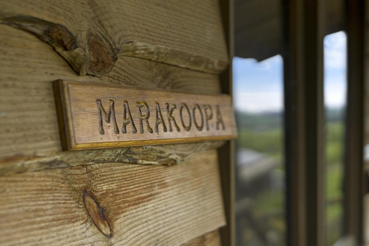 Mole Creek Cabins Екстериор снимка
