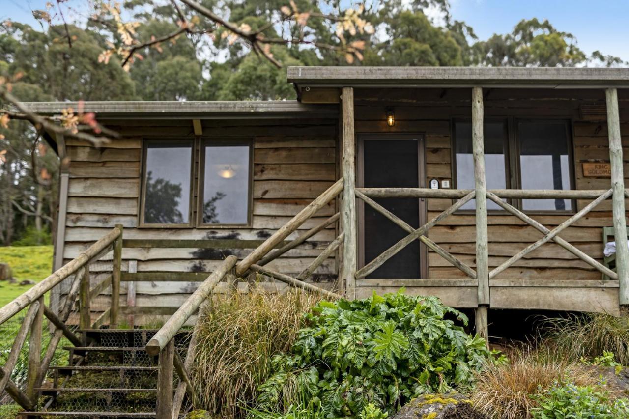 Mole Creek Cabins Екстериор снимка