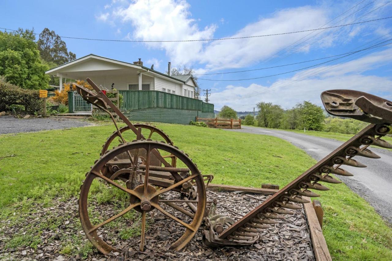Mole Creek Cabins Екстериор снимка