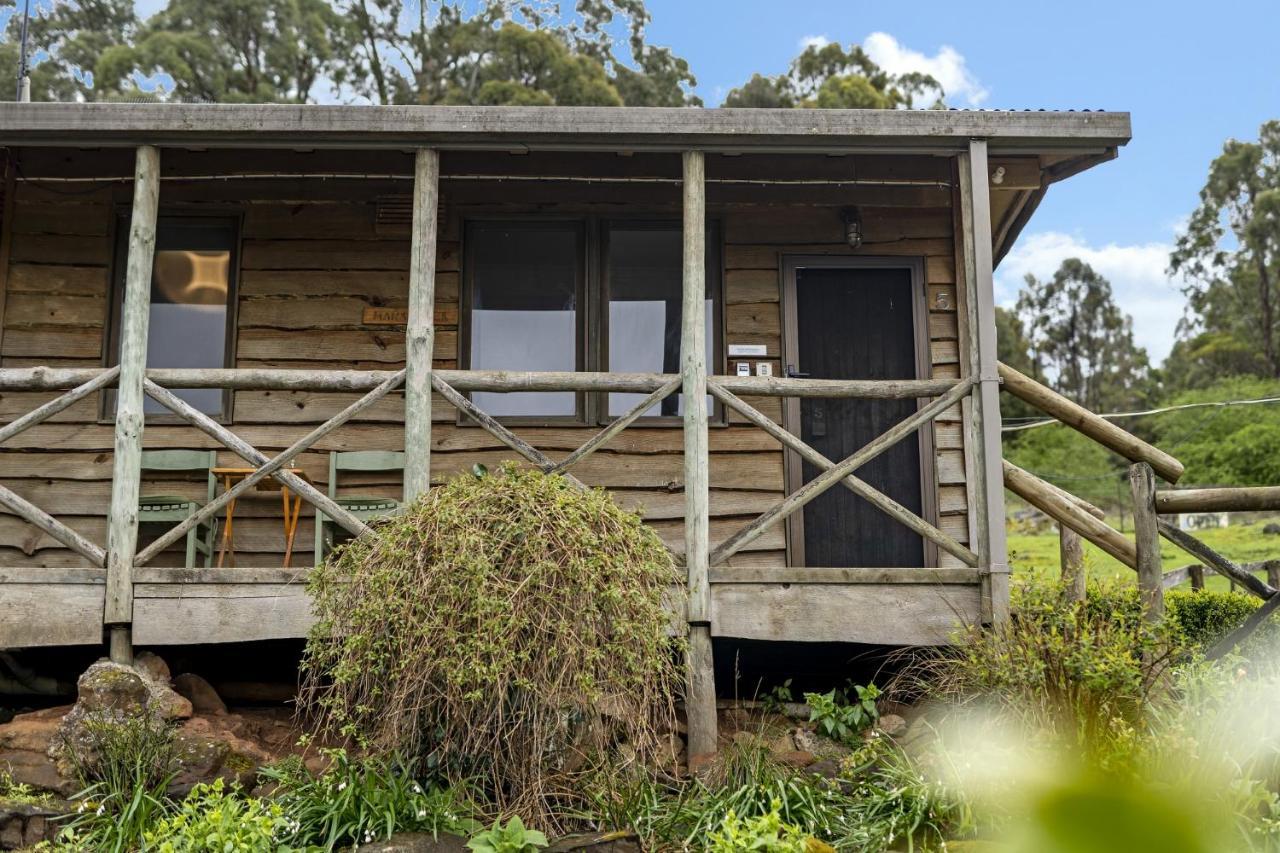 Mole Creek Cabins Екстериор снимка