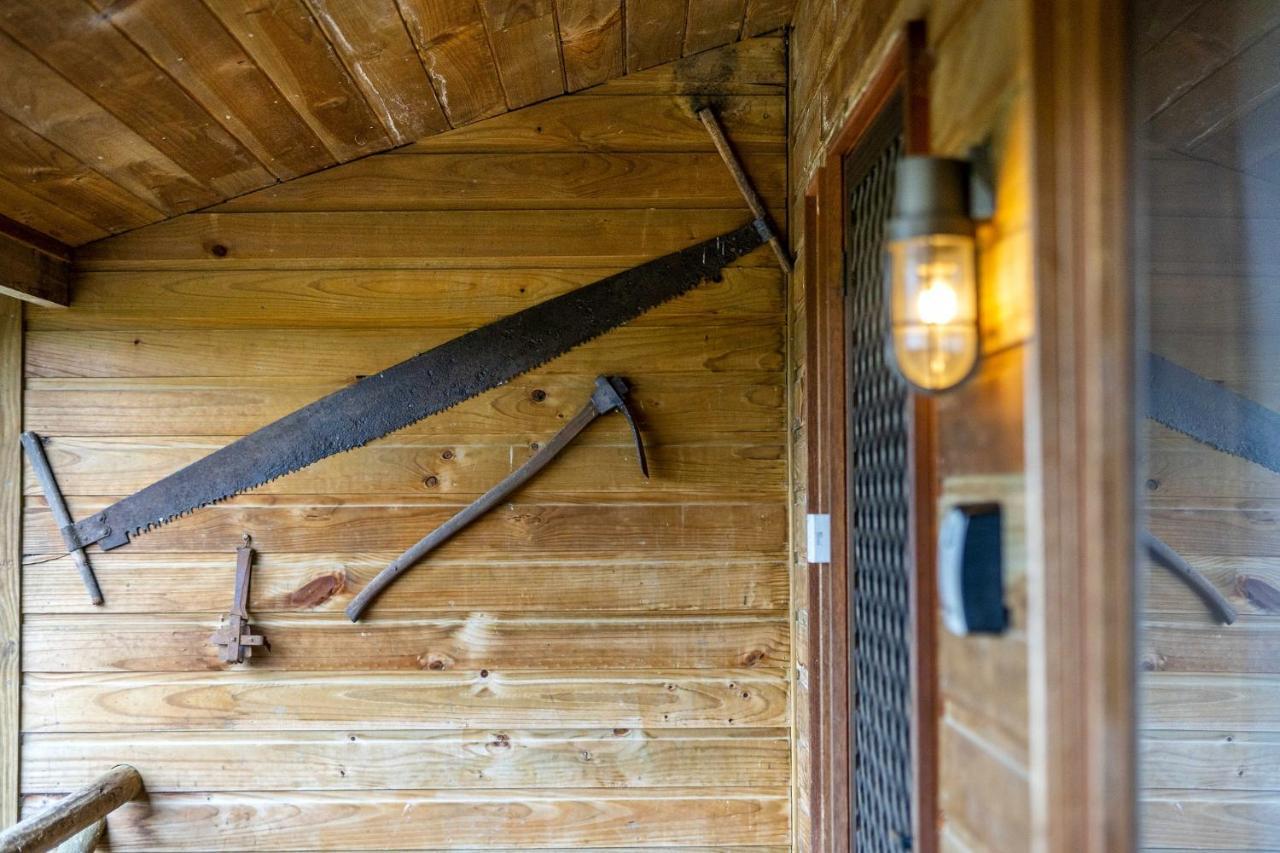 Mole Creek Cabins Екстериор снимка