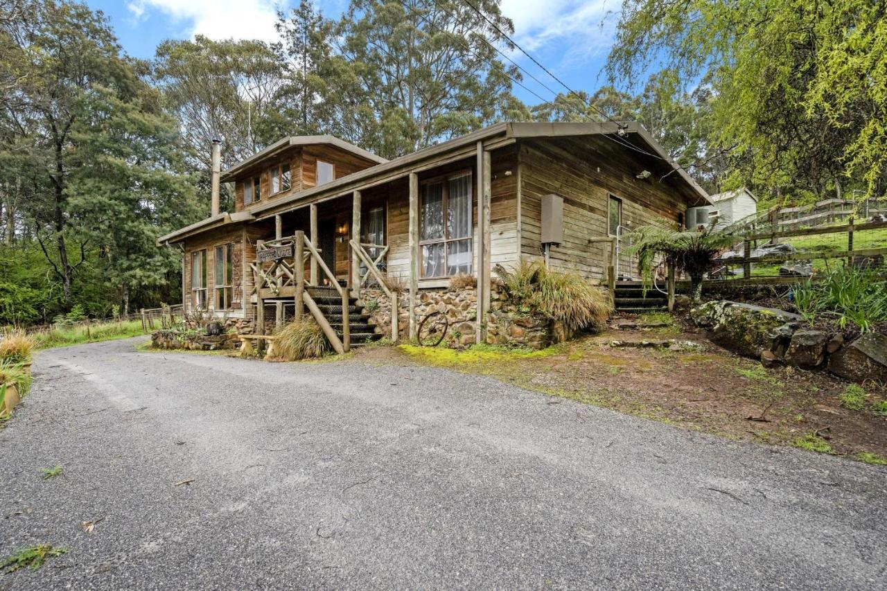 Mole Creek Cabins Екстериор снимка